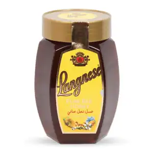 Langnese Honey Pure Bee 1 kg